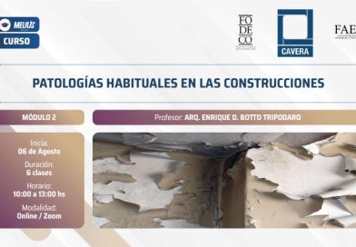 Curso Patologías habituales en las construcciones – Módulo 2