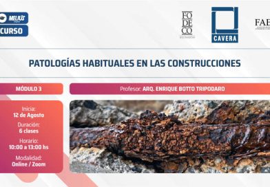 Curso Patologías habituales en las construcciones – Módulo 3