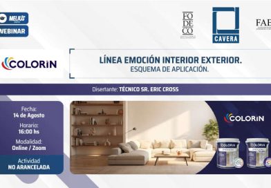 Webinar COLORÍN – Línea Emoción Interior exterior. Actividad no arancelada